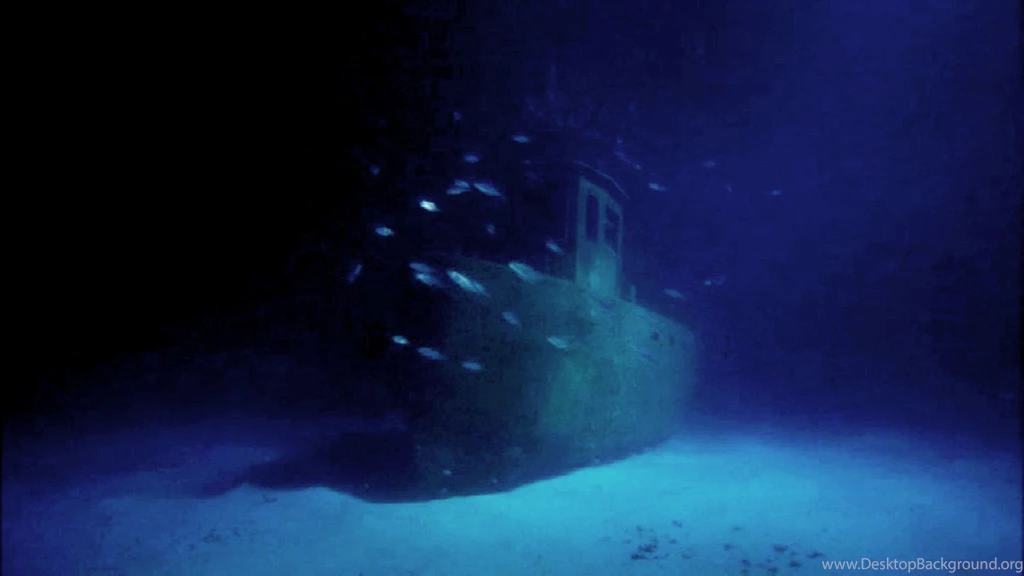 Michael Pitts Underwater Cameraman