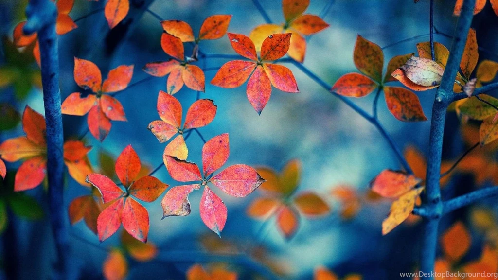 Desktop HD Backgrounds Wallpapers Download   Universal Unique Tubes