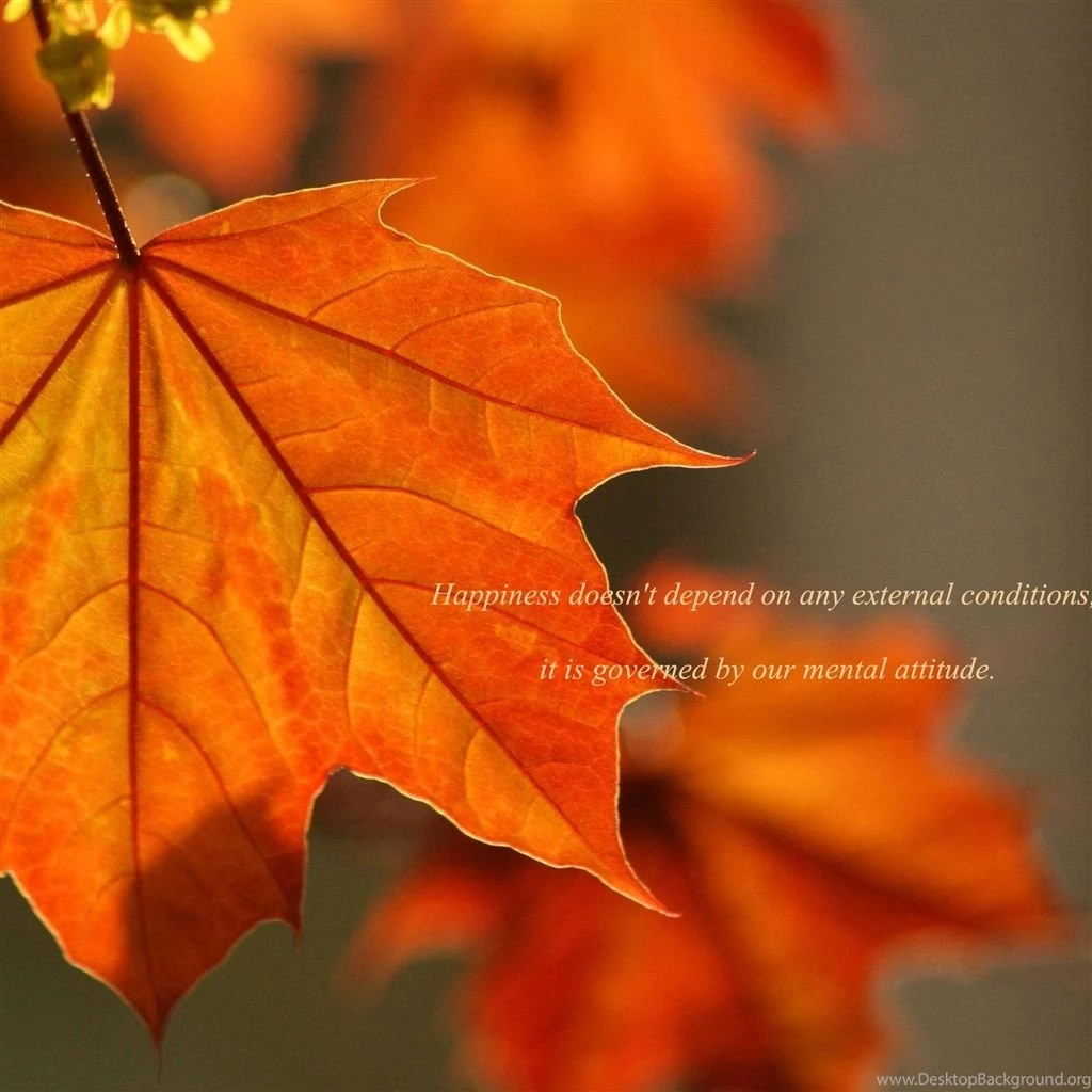 Oak Rust Colored Leaves iPad Air Wallpapers Download