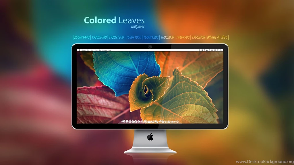 Colored Leaves Wallpapers By Martz90 On DeviantArt