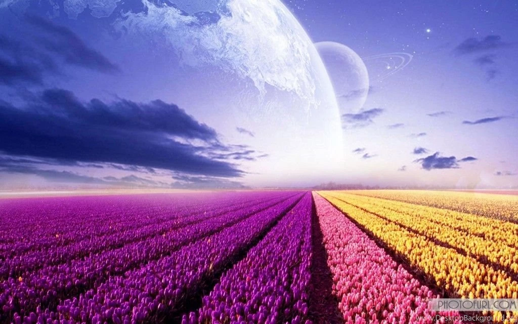 Beautiful leaf wallpapers1 1024x640.jpg