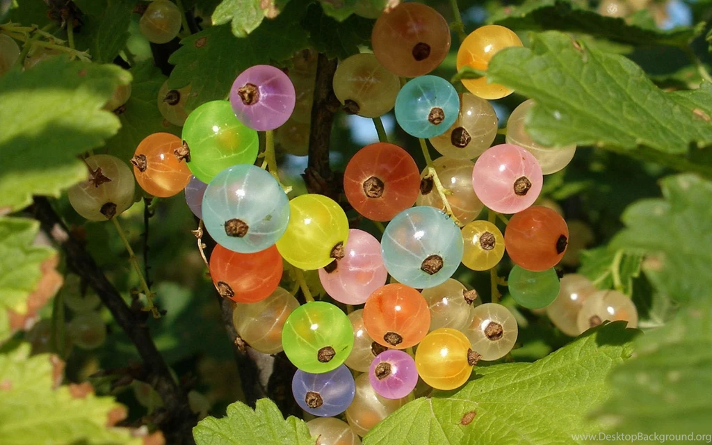 Download Wallpapers 3840x2400 Currant, Berry, Multi colored, Leaves ...