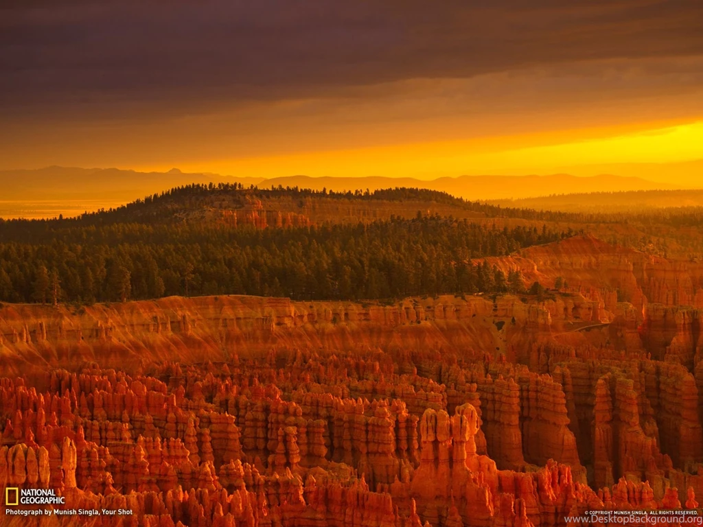 Bryce Canyon Landscape Wallpapers National Geographic Photo ...