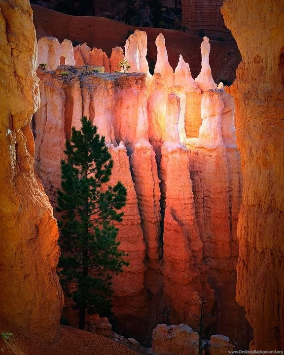 Bryce Canyon National Park Photos