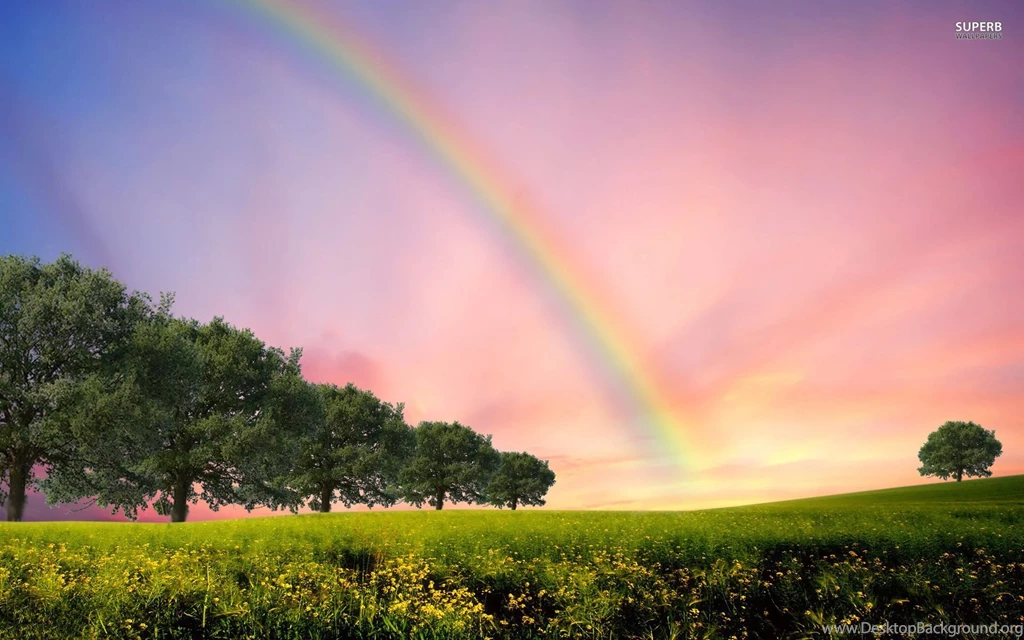 Rainbow Wallpapers Typography Wallpapers