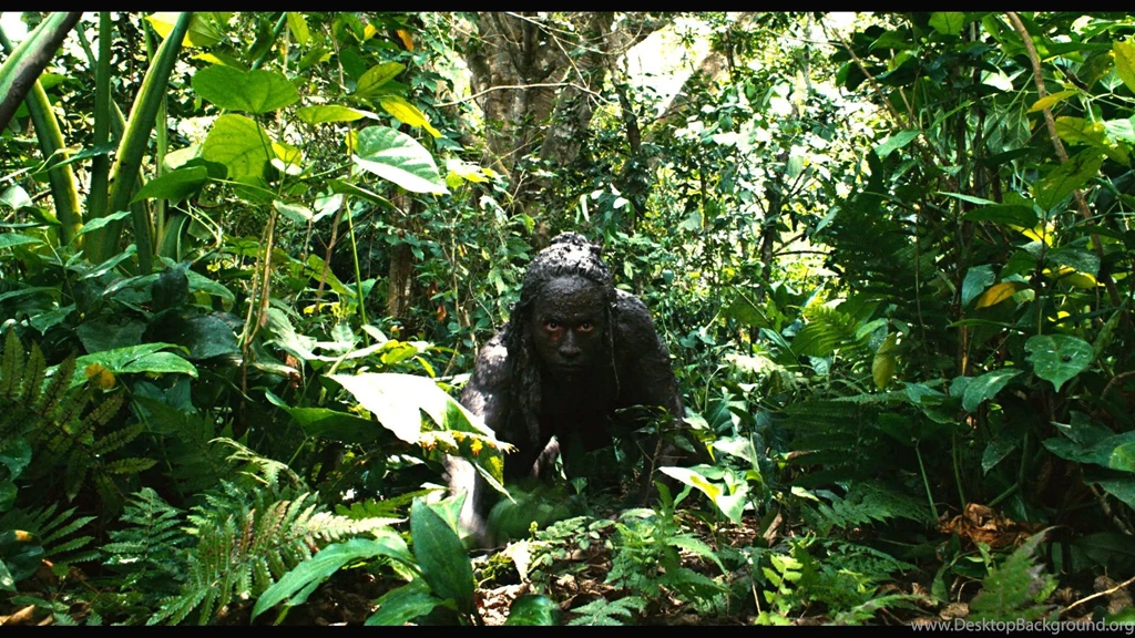 Apocalypto Wallpapers