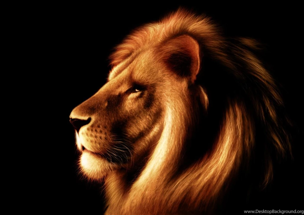 LEO THE LION WALLPAPER (
