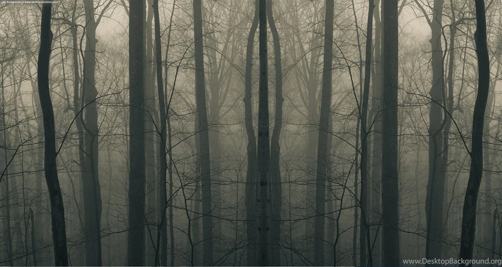 Download Creepy Forest Wallpapers For Mac