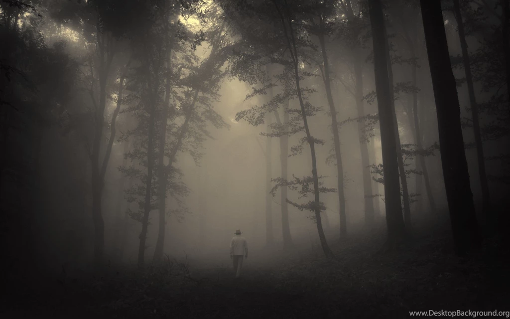 Download Creepy Forest Wallpapers For Windows