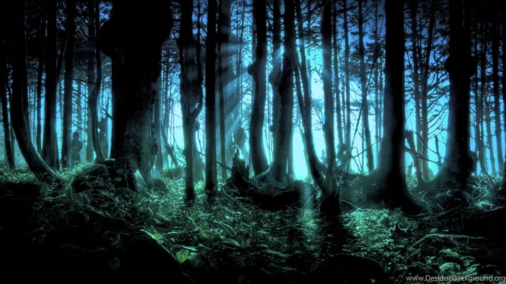 Download Creepy Forest Wallpapers Desktop