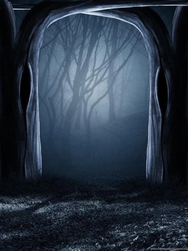 Pictures > Creepy Forest Backgrounds