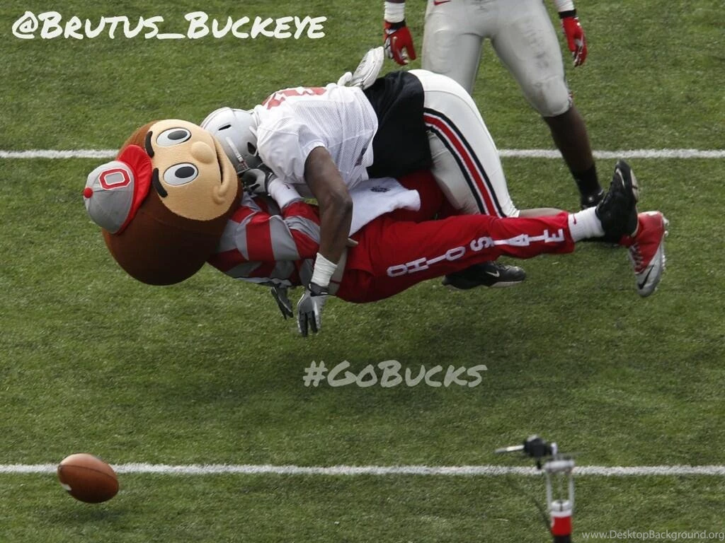 4 7_Brutus_Buckeye_hit.jpg