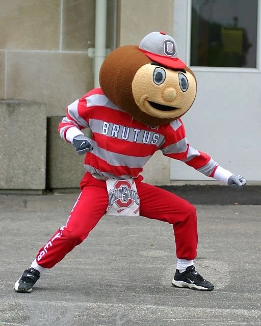 Brutus Buckeye Wallpapers