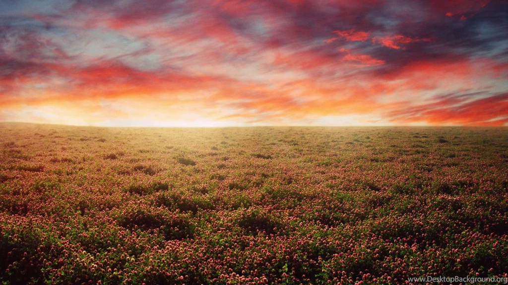 Desktop Nexus Nature Images