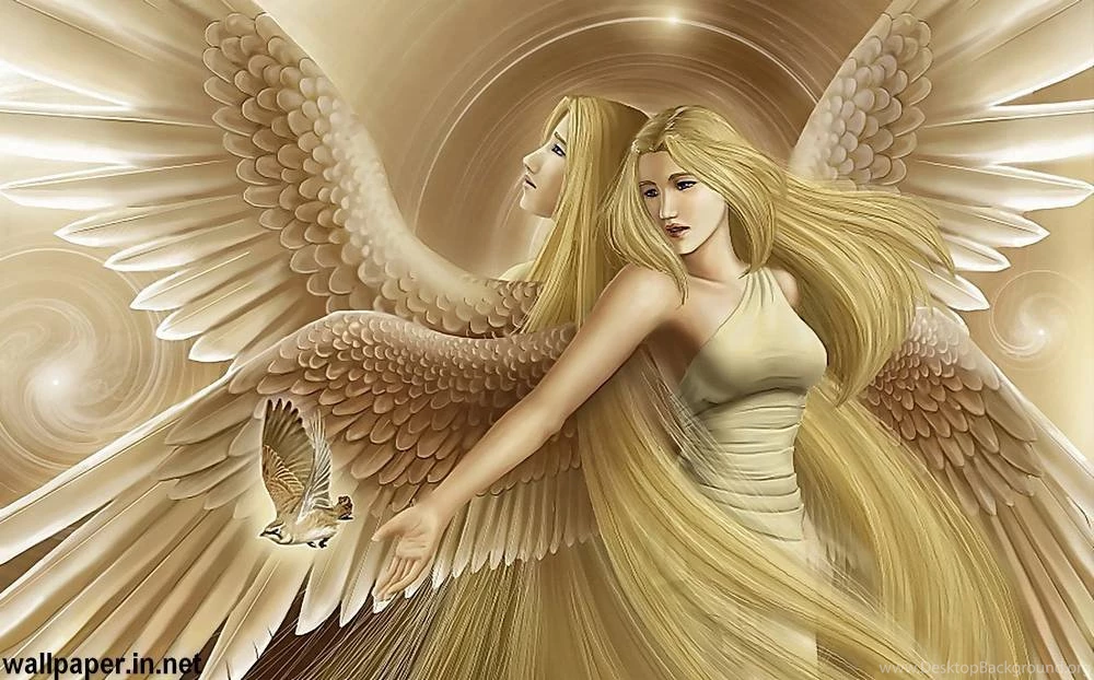 Angel Computer HD Wallpapers Free Download For Laptop