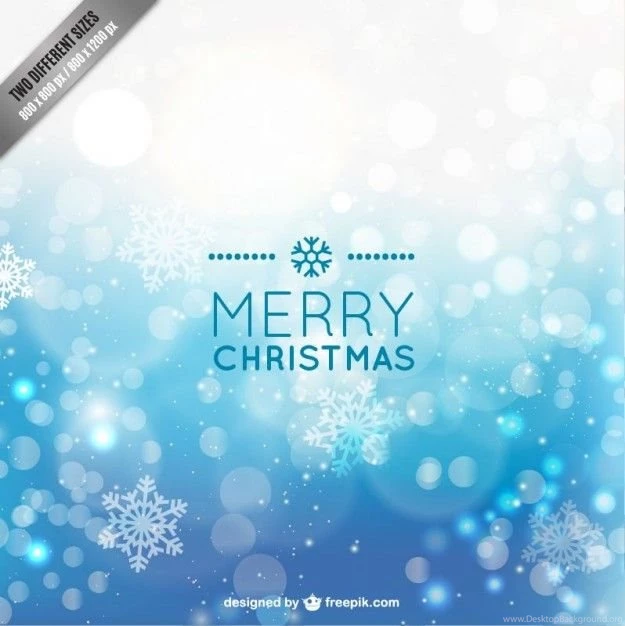Blue Christmas Backgrounds With Snowflakes Vector