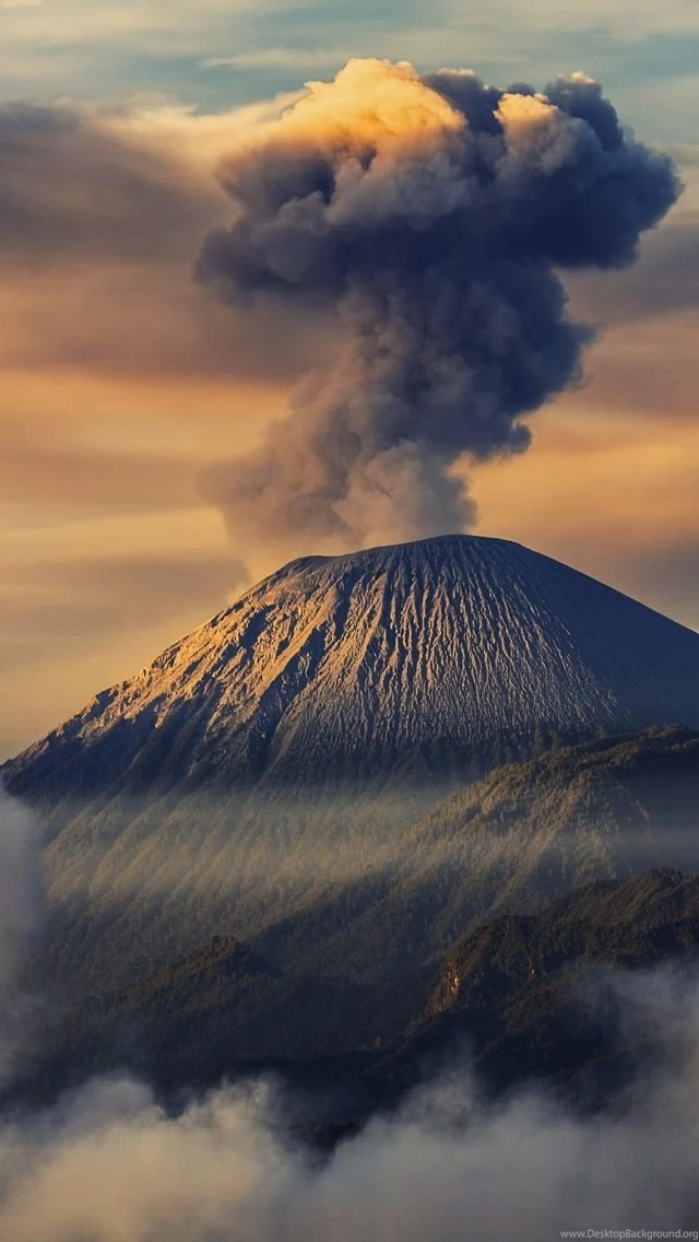 Volcano Plum iPhone 5 Wallpapers (640x1136)
