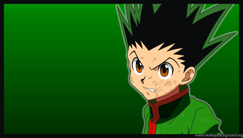 WALLPAPER 12 GON (HXH2011) By Gaston gaston On DeviantArt