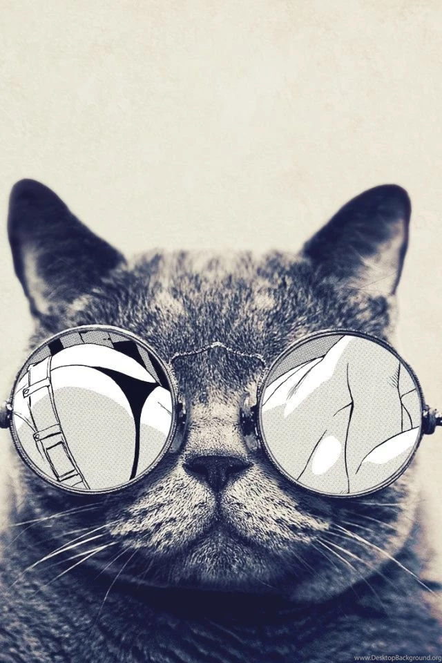 640x960 Round Glasses Cute Cat Iphone 4 Wallpapers