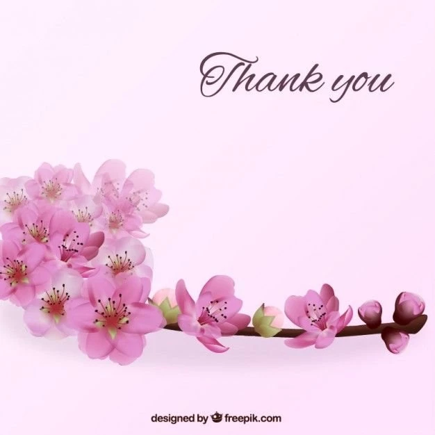 Thank You Vectors, Photos And PSD Files
