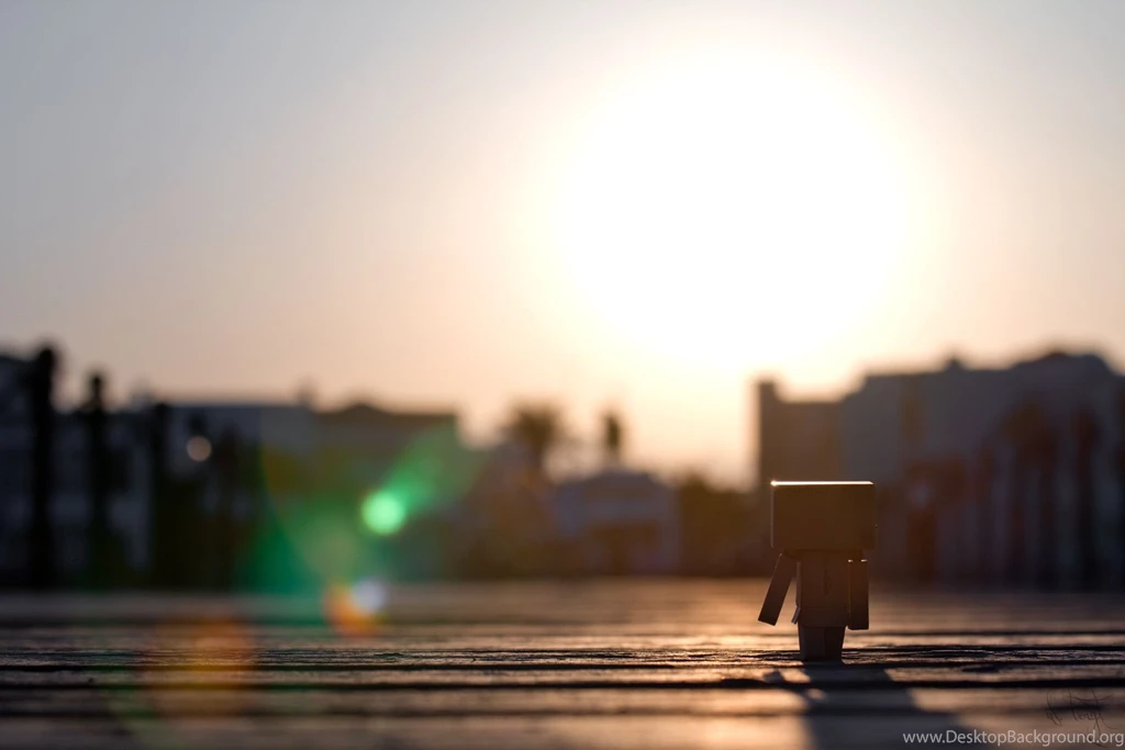 Danbo Takes A Walk Computer Wallpapers, Desktop Backgrounds ...