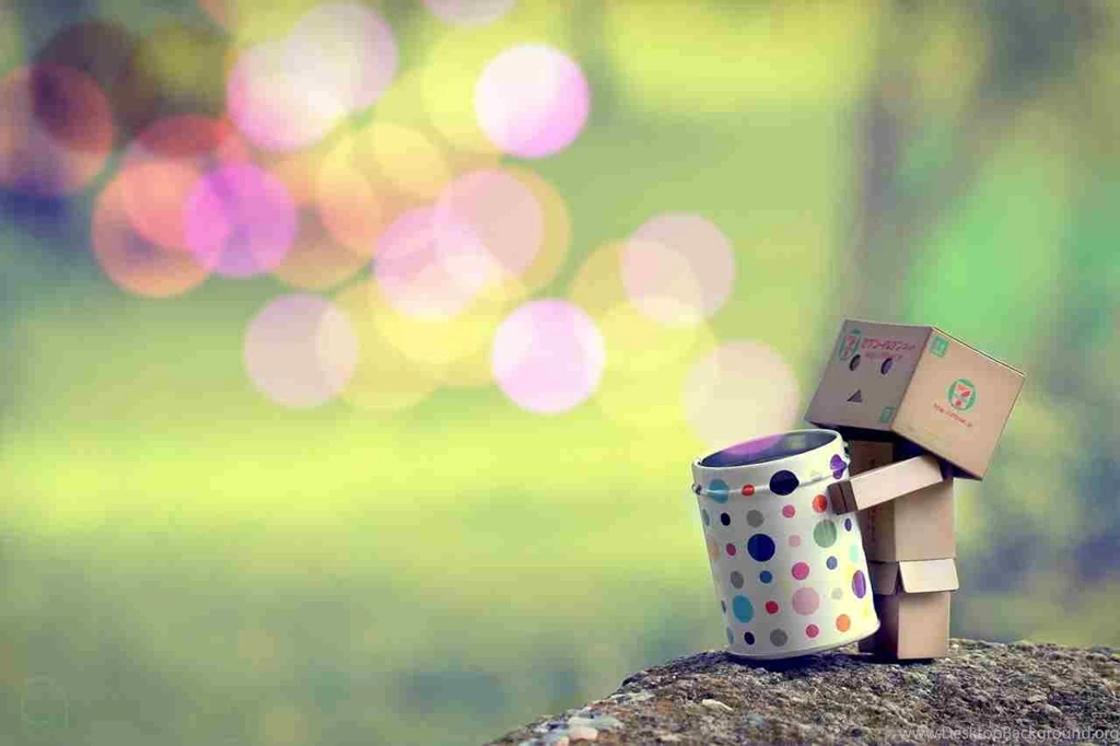 Danbo Sorry Cardbo Not Carbo Manga Anime