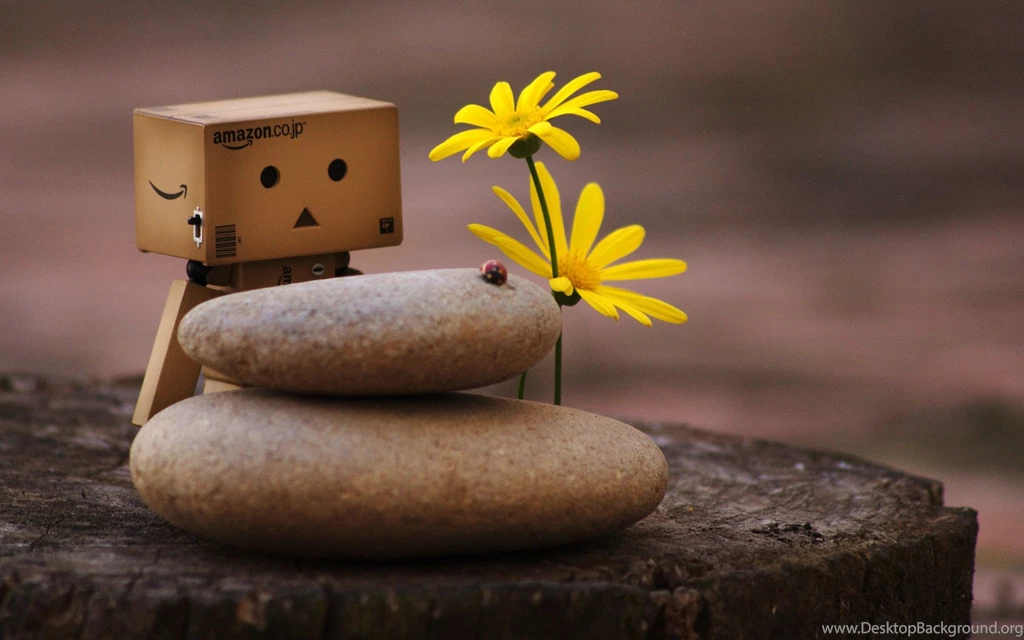 Danbo And Zen Pebbles Wallpapers