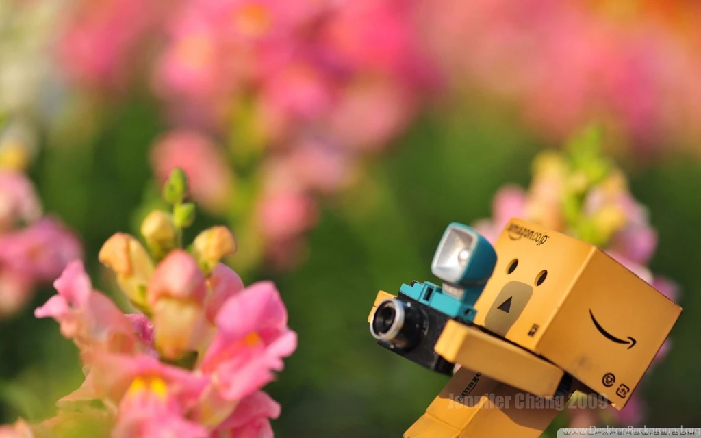 Danbo Images