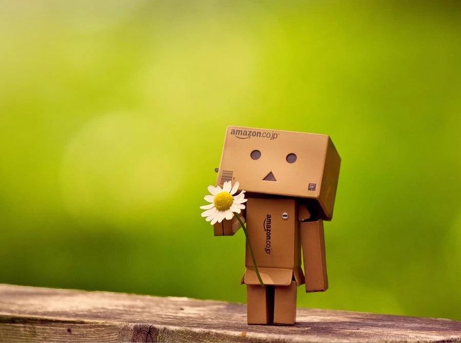 Cute Danbo – The Japanese Robot Pictures