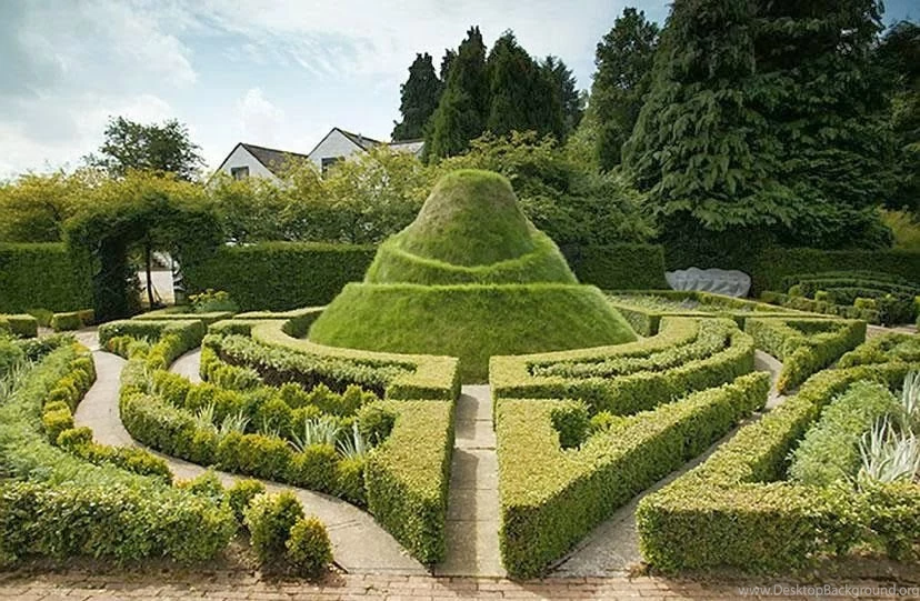 Desktop HD Wallpapers Free Downloads: The Garden Of Cosmic ...