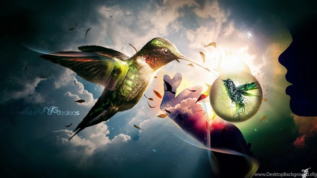 Bird Graphic Background Images