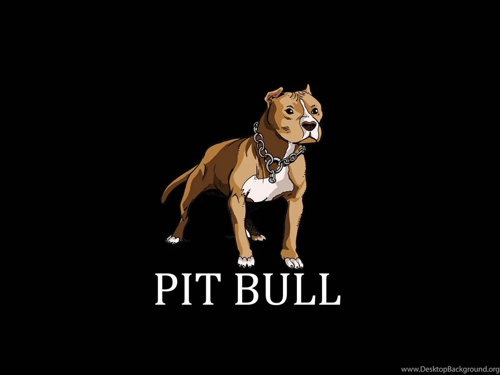 Painted Pit Bull Terrier Wallpapers