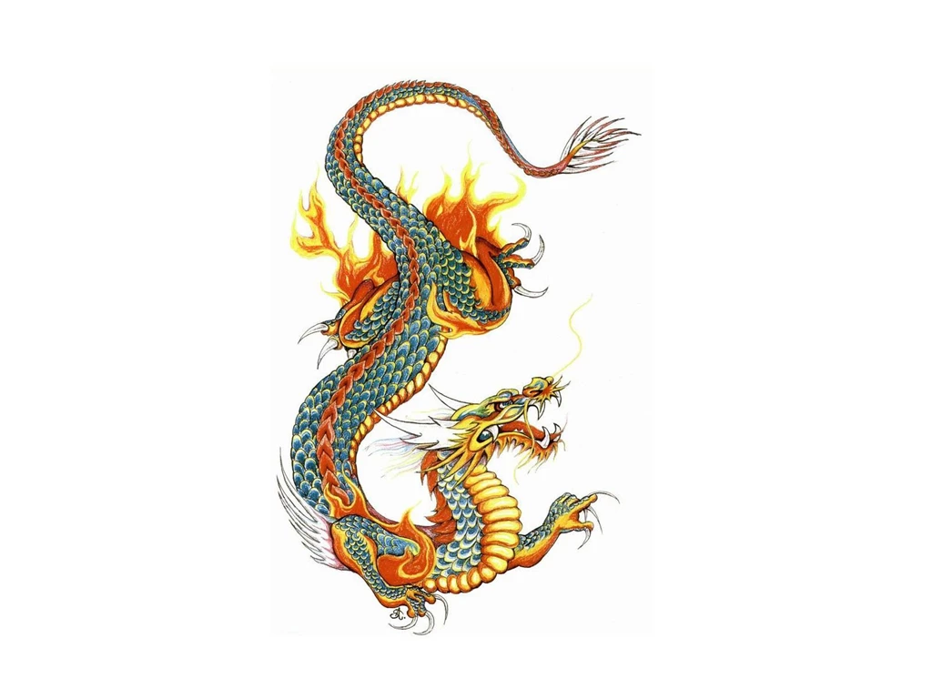Free Designs Japanese Colored Dragon Tattoo Wallpapers Resolution ...