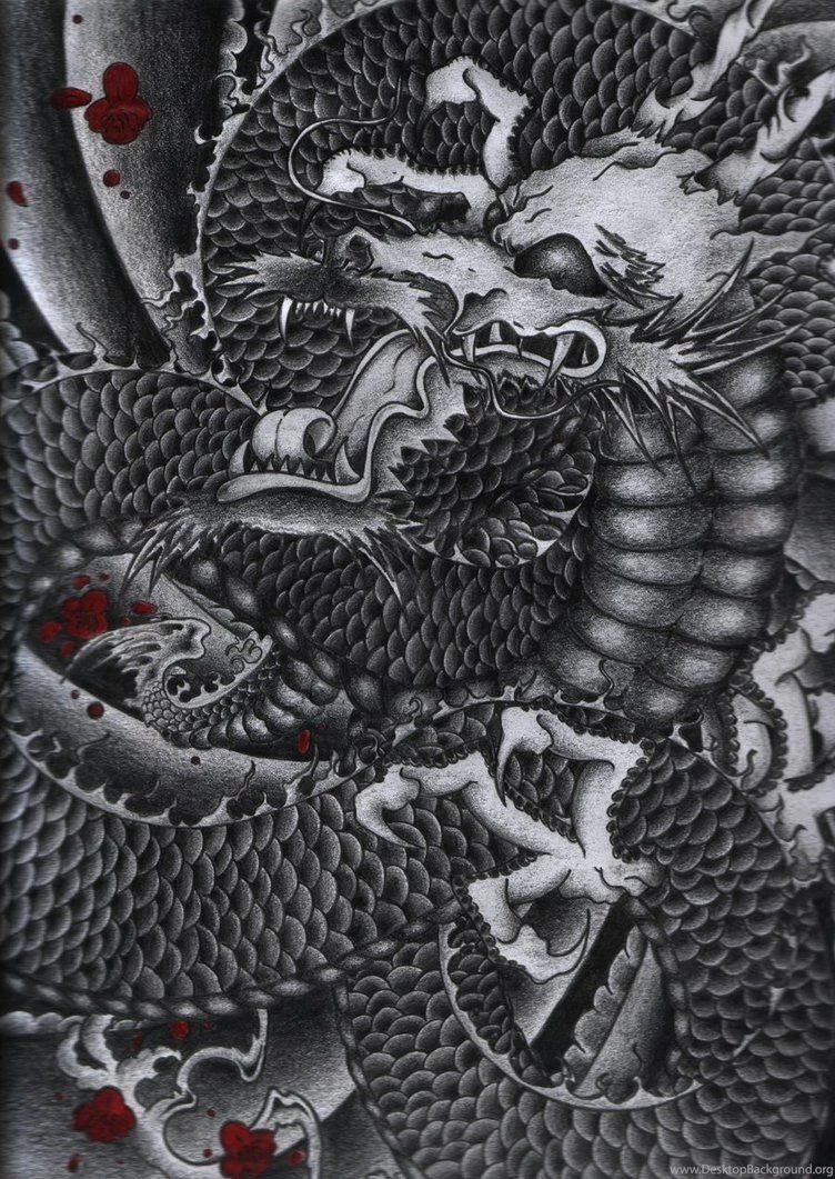 Japanese Dragon By Shane0205 On DeviantArt