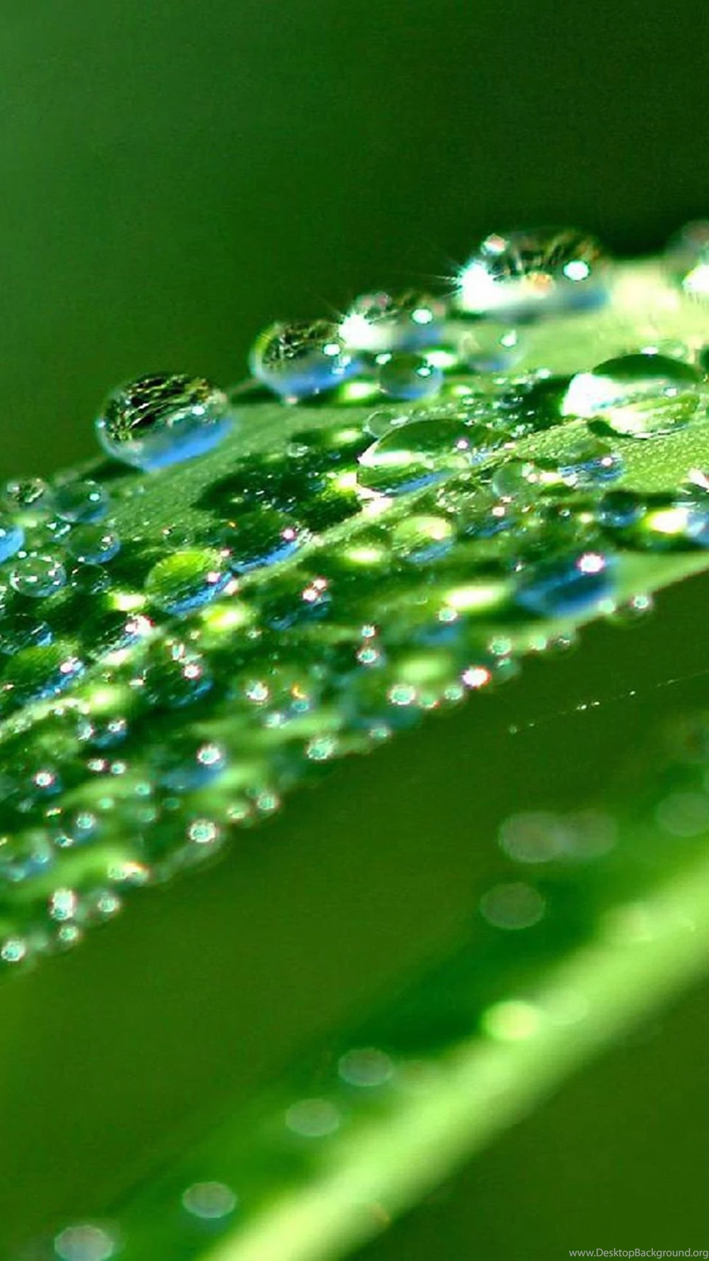 Glitter iPhone 6 Wallpapers