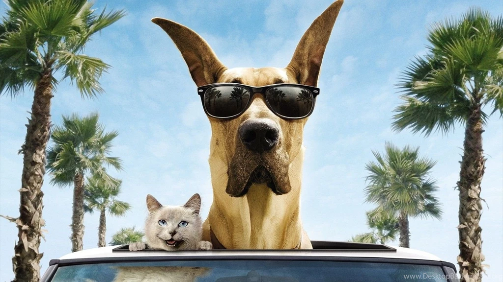 Comedy Roads Smiling Palm Trees Filme Marmaduke Wallpapers ...