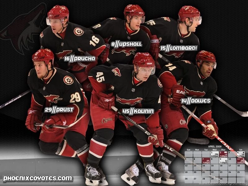 For Phoenix Coyotes More Information