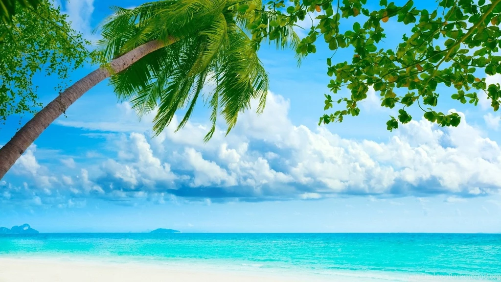 Beach Tropical Hd Wallpapers