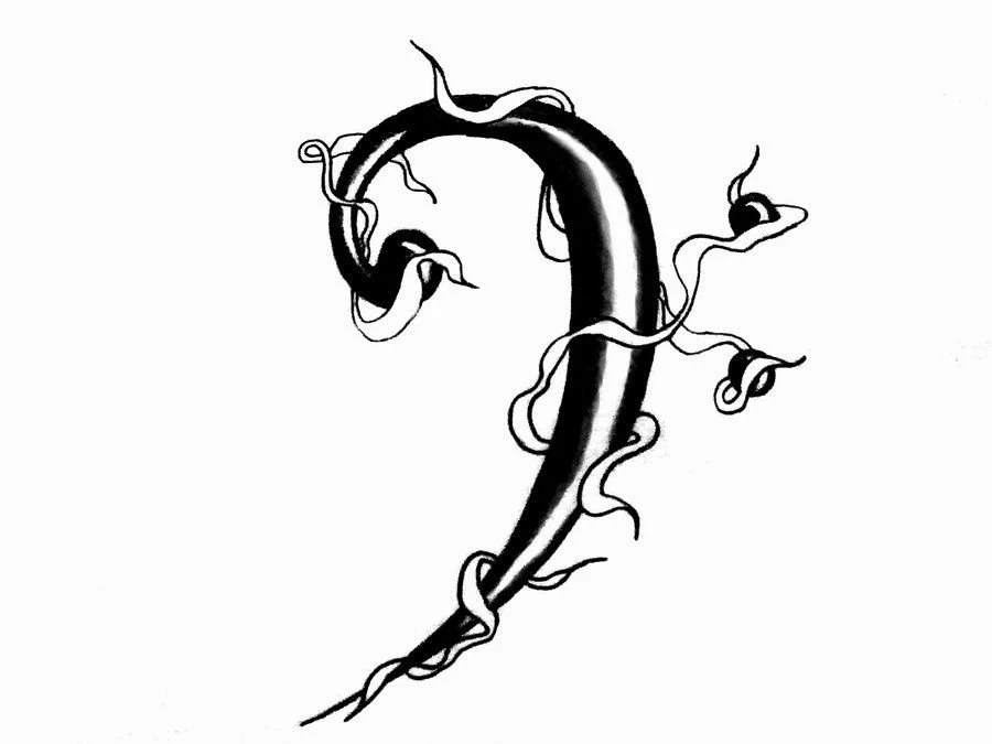 Bass Clef By Apeleutheros On DeviantArt