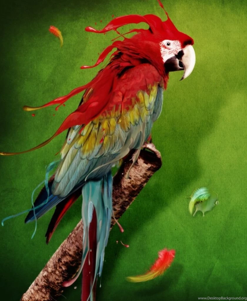 Tattfae's Nook Wallpapers