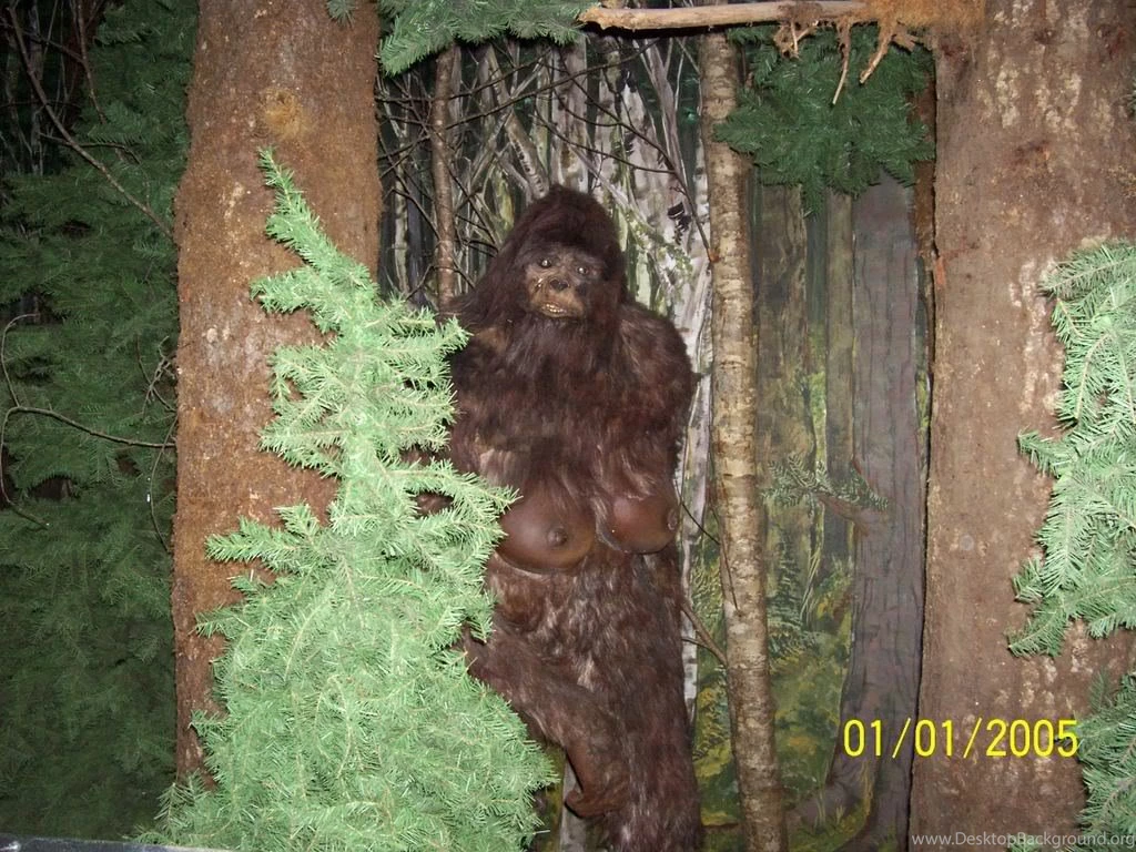 Bigfoot Photo By Mizzmommiedez