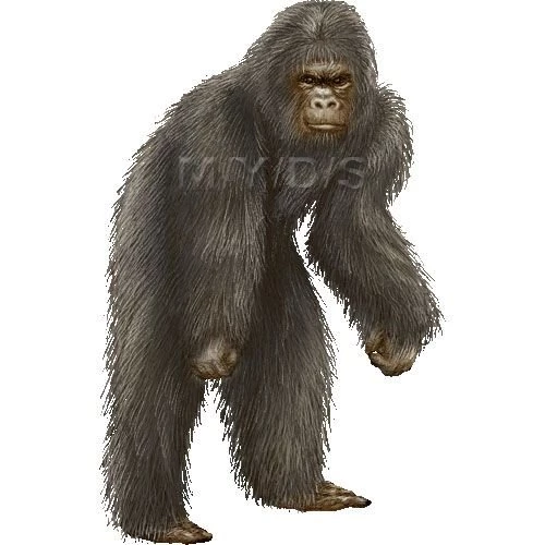 Bigfoot, Sasquatch Clipart Graphics (Free Clip Art