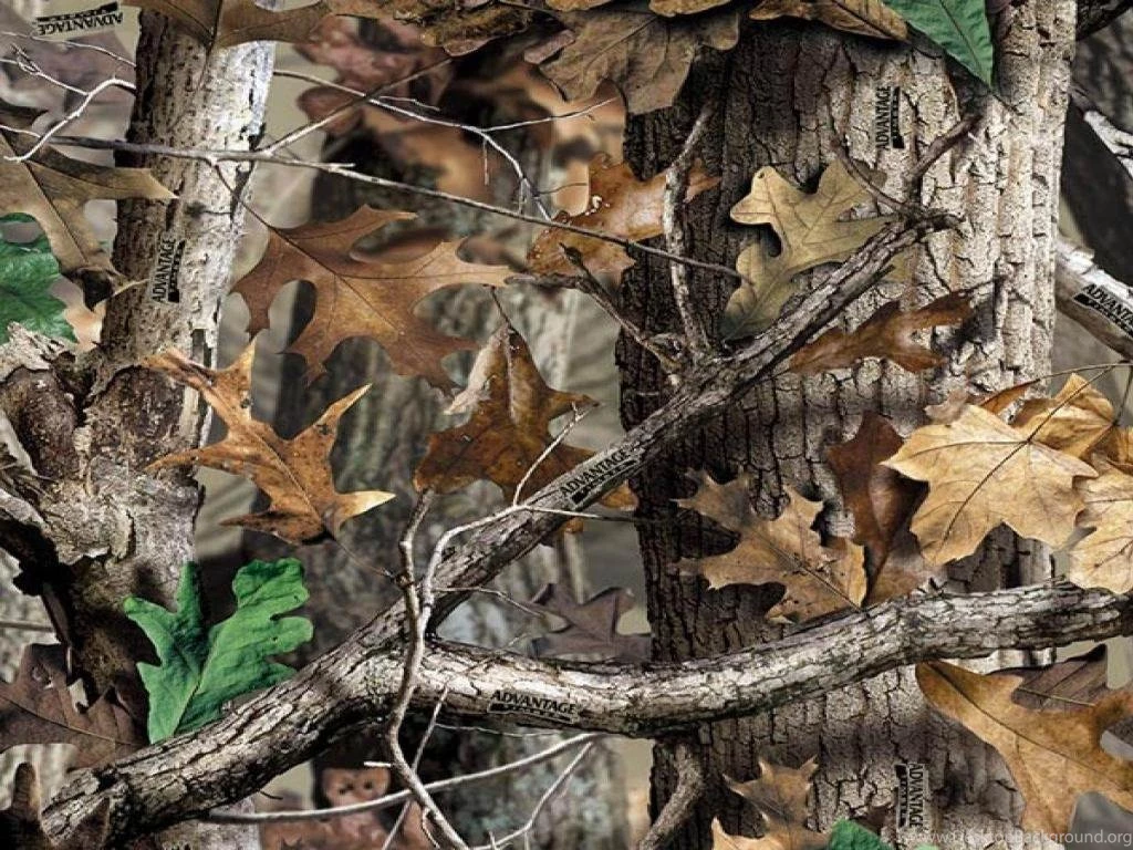 Camo Computer Wallpapers Wallpapers Cave