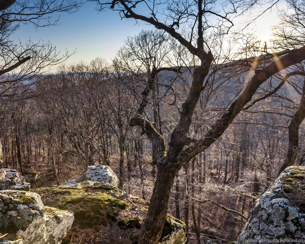 Late Winter Sun From Bigfoot Hollow Arkansas HD Wallpapers For Your ...