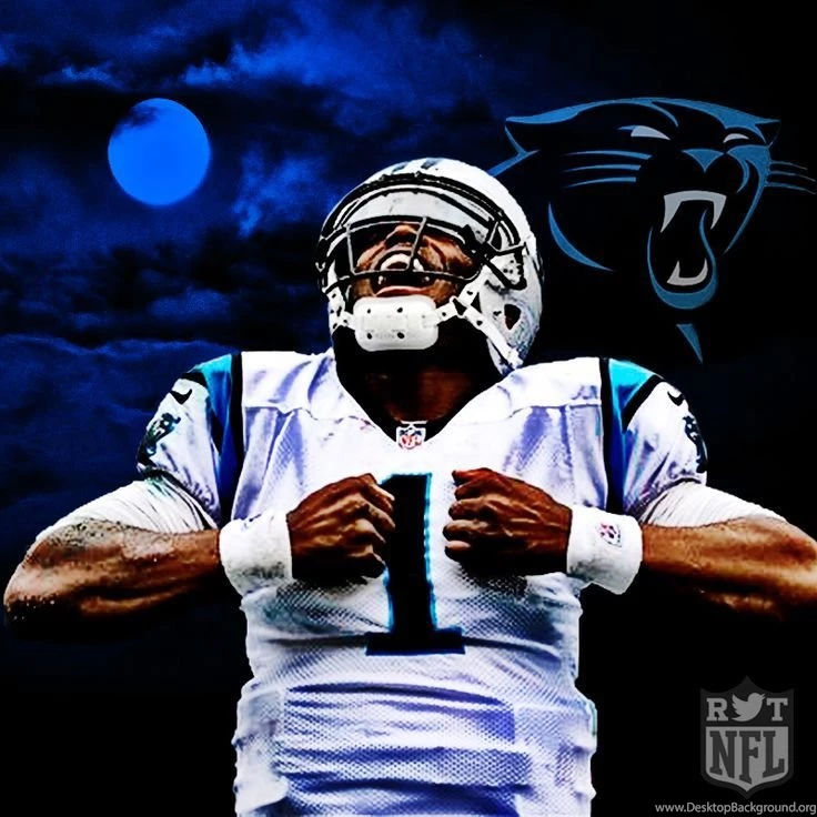 Carolina Panthers On Pinterest