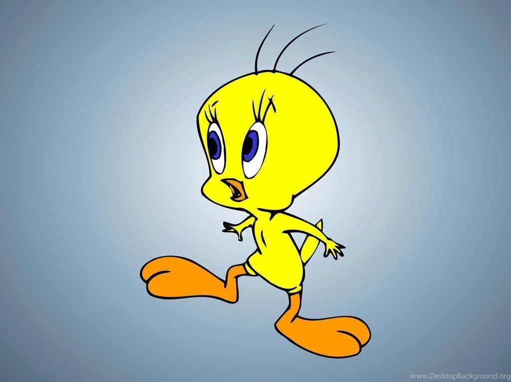 Free Tweety Bird Wallpapers   Wallpapers Cave