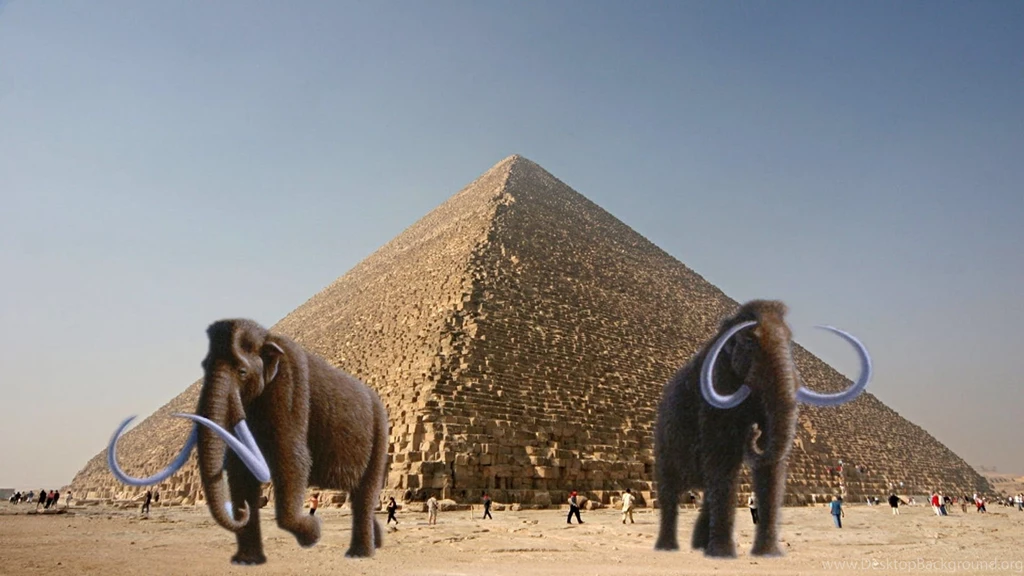Woolly Mammoth HD Wallpaper, Woolly Mammoth Images Free, New ...
