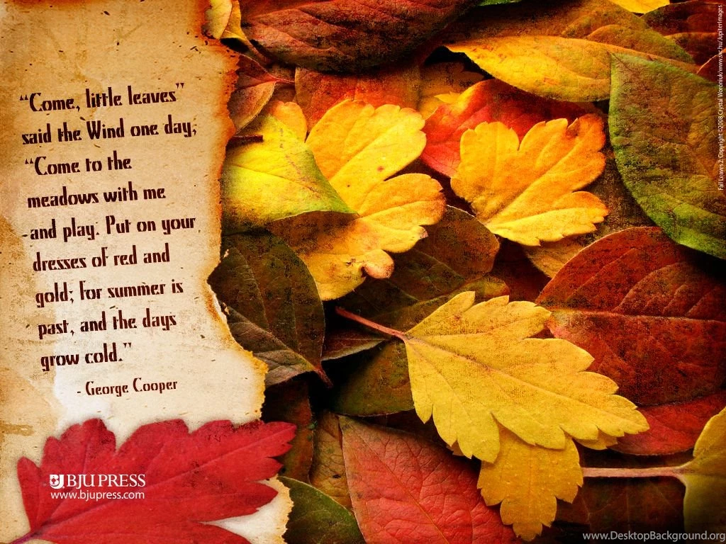 My Favorite Season ... AUTUMN FALL !!! On Pinterest