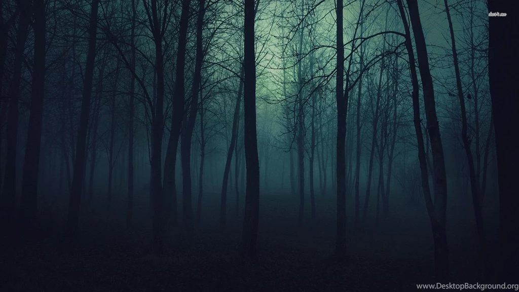 Dark Forest Backgrounds   Wallpapers Cave
