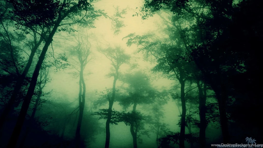 HDR Forest Backgrounds Wallpapers